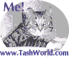 Tash shares her world: felines, freebies, fun (books, postcards, art prints, pals and more. www.TashWorld.com 
