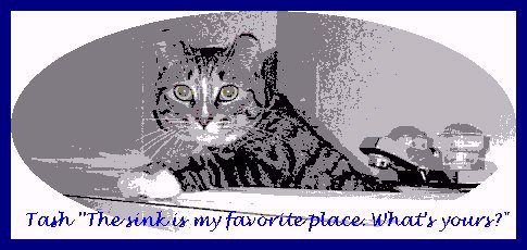 Tash 'Sink is favorite place' Photo